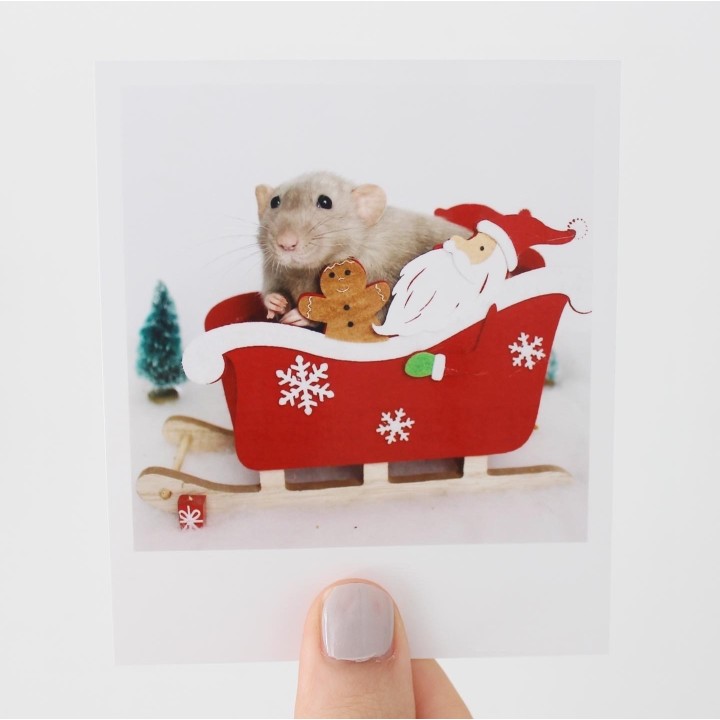 Crumble Christmas polaroid