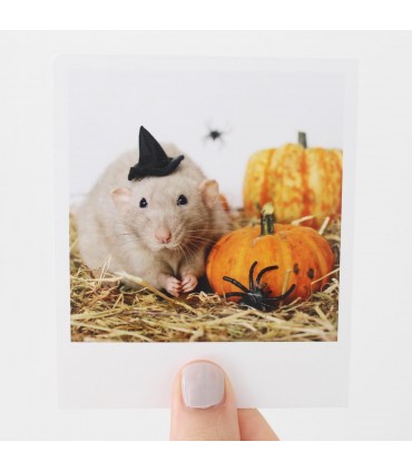 Crumble halloween polaroid