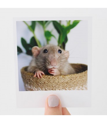 Crumble polaroid 3