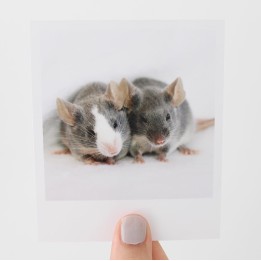 Meadow & Dove polaroid