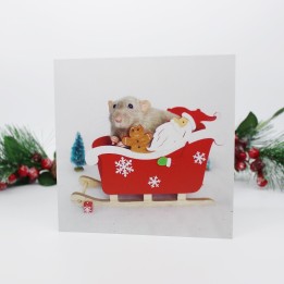 Rat Christmas card