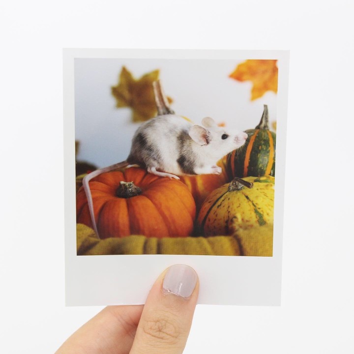 Opal Halloween Polaroid 1