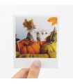 Opal Halloween Polaroid 1