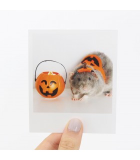 Sprout Halloween Polaroid