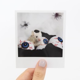 Pearl Halloween Polaroid 1