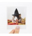Fig Halloween Polaroid