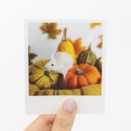 Pearl Halloween Polaroid 2