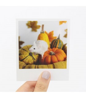 Pearl Halloween Polaroid 2