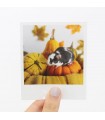 Pebble Halloween Polaroid