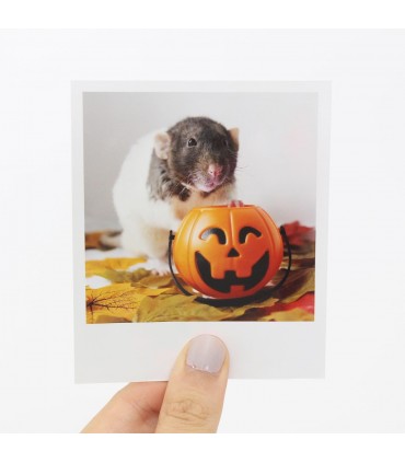 Rolo Halloween Polaroid