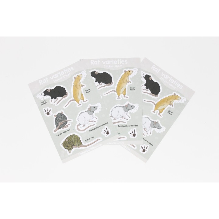 'Rat varieties' sticker sheet