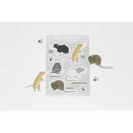 'Rat varieties' sticker sheet