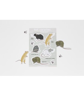 'Rat varieties' sticker sheet