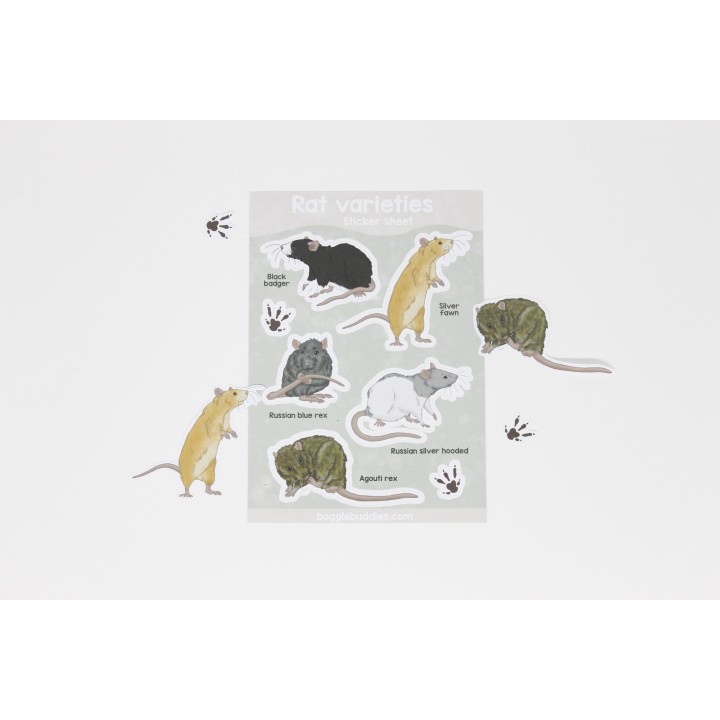 'Rat varieties' sticker sheet