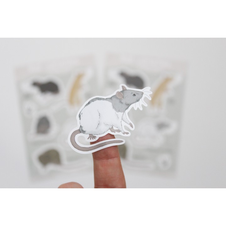 'Rat varieties' sticker sheet