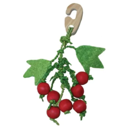 Berry nibbler toy