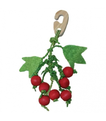 Berry nibbler toy