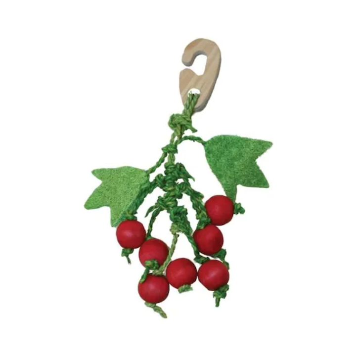 Berry nibbler toy
