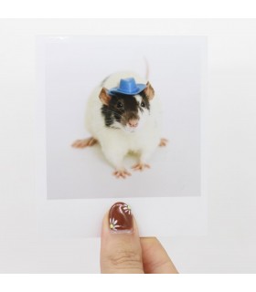 Humbug polaroid 2