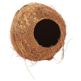 Nature First Coconut Hut