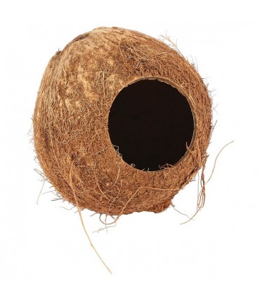 Nature First Coconut Hut
