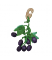 Grape nibbler toy