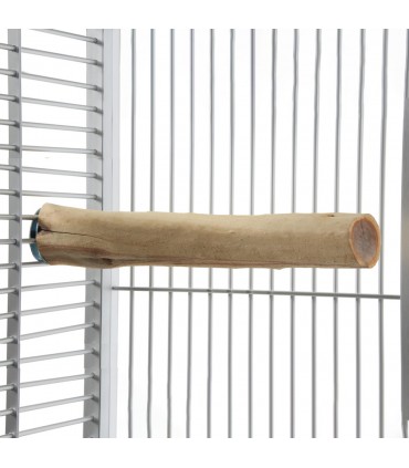 Large manzanita perch