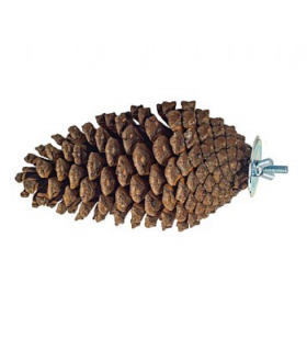 Pine cone perch