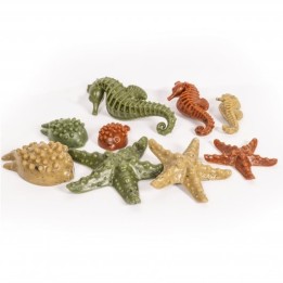 Elkwood Vegetable Sea Creatures + Seaweed Small 7pc 100g