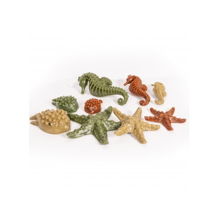 Elkwood Vegetable Sea Creatures + Seaweed Small 7pc 100g