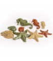 Elkwood Vegetable Sea Creatures + Seaweed Small 7pc 100g