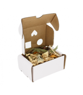 Cardboard foraging box with forage