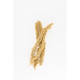 Millet sprays 60g