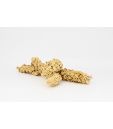 Millet sprays 60g