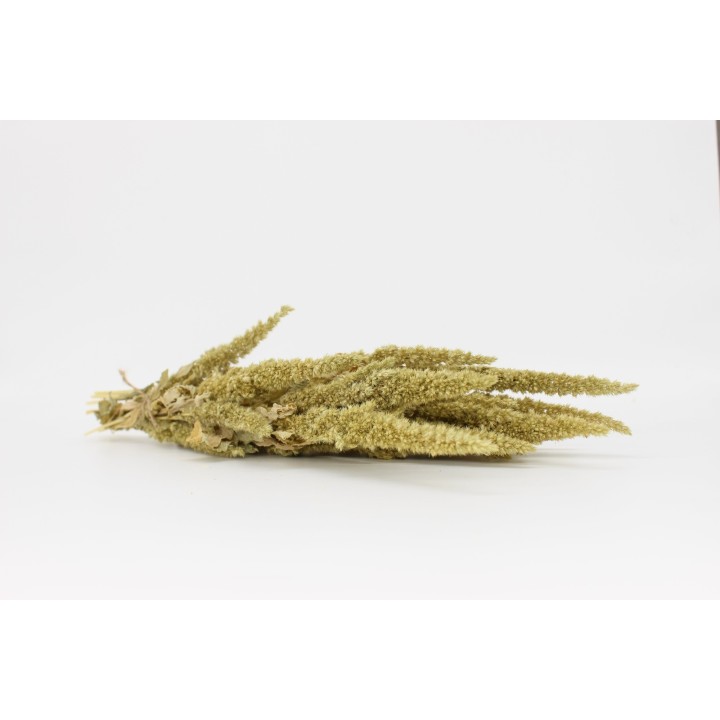 Amaranth sprays (Green) 20g