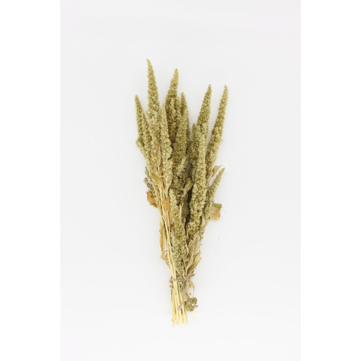 Amaranth sprays (Green) 20g
