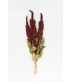 Amaranth sprays (Red) 20g