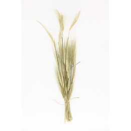 Barley sprays 40g