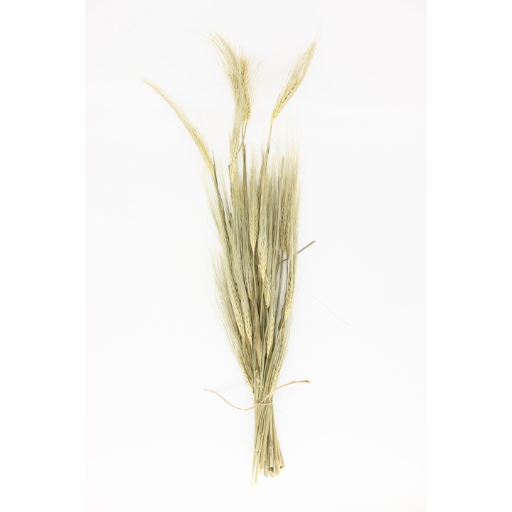 Barley sprays 40g