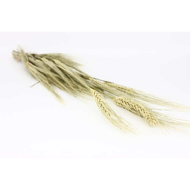 Barley sprays 40g