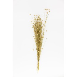 Flax sprays (Linum) 20g
