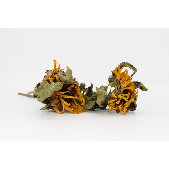 Sunflower stem 20g