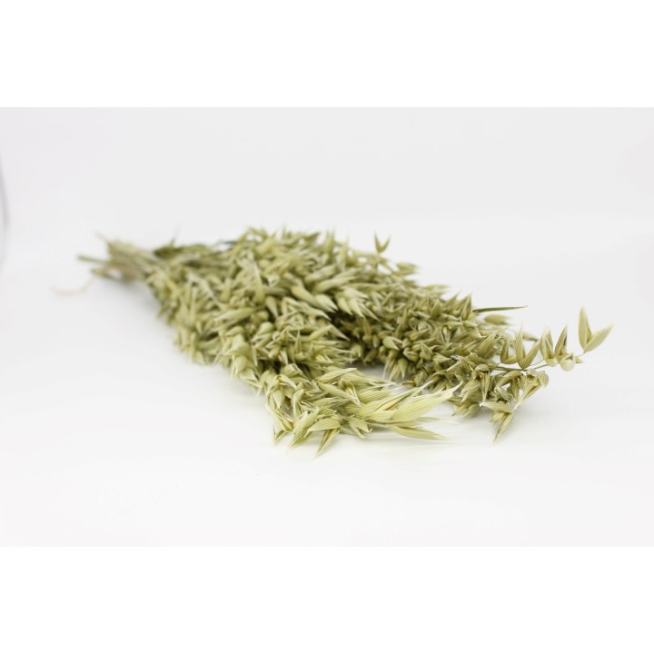 Oat sprays 30g