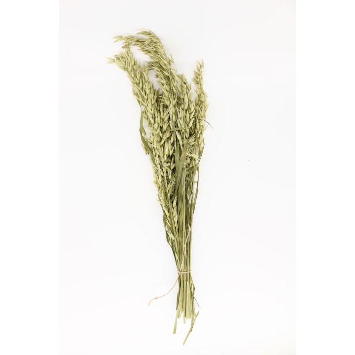 Oat sprays 30g