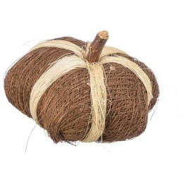 Pumpkin coco toy