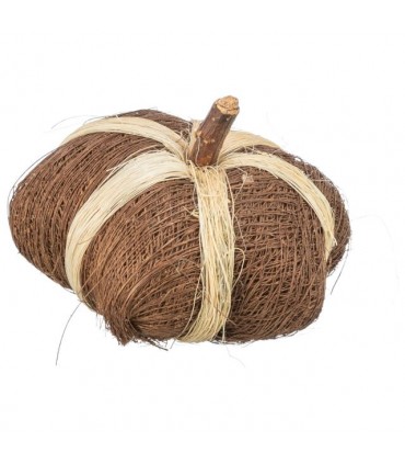 Pumpkin coco toy