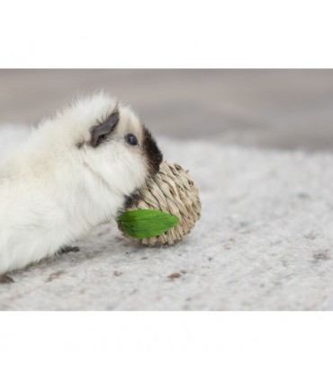 Grass Apple toy
