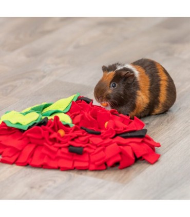Strawberry snuffle mat