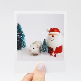 Pearl Christmas Polaroid 1