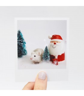 Pearl Christmas Polaroid 1
